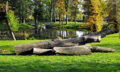 Zdjcie POLSKA / Kozienice / park / jesie w Kozienicach