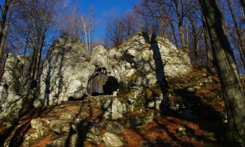 Zdjęcie POLSKA / Jura Krakowsko-Czestochowska / Złoty Potok / brama Twardowskiego