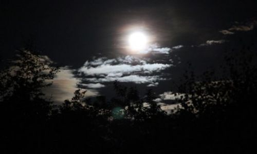 Zdjęcie POLSKA / - / Katowice-Giszowiec / NIEBO #2