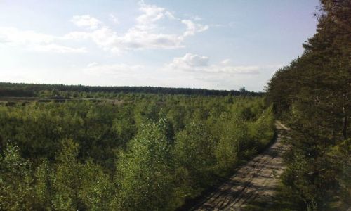 Zdjecie POLSKA / witokrzyskie - ostrowiec / ostrowiec w - okolice / okolice mojego miasta.