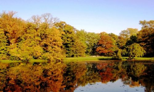 Zdjcie POLSKA / odzkie / Park Romantyczny w Arkadii / Jesienne obrazki z Arkadii