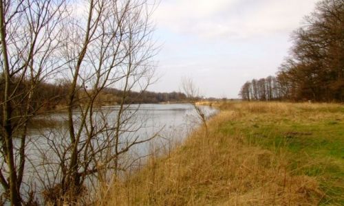 Zdjęcie POLSKA / nizina śląska / Ptasi gaj / odra 3