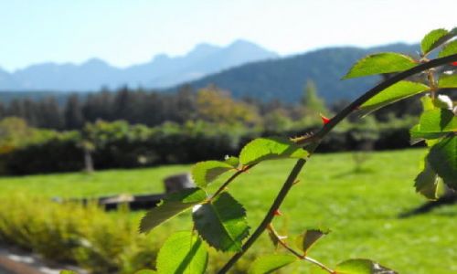 Zdjecie POLSKA / Tatry / Cyrhla / wrzesie na Cyrhli