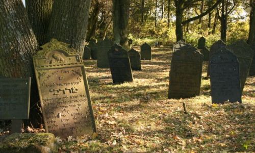 Zdjecie POLSKA / lskie / Krzepice / Judaica