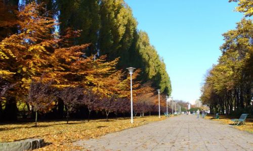 Zdjęcie POLSKA / pomorskie / Gdynia. / jesień