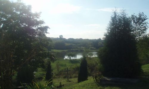 Zdjęcie POLSKA / Lubelszczyzna / Muzeum Wsi Lubelskiej w Lublinie / Skansen