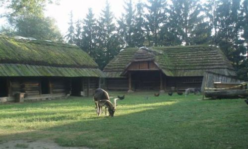 Zdjęcie POLSKA / Lubelszczyzna / Muzeum Wsi Lubelskiej w Lublinie / Wsi spokojna, wsi wesoła