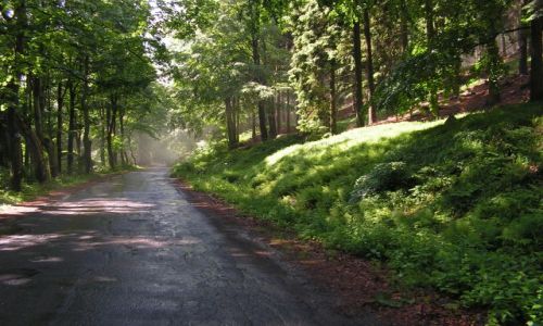 Zdjęcie POLSKA / Góry Sowie / okolice Pieszyc / przełęcz jugowska (góry Sowie)