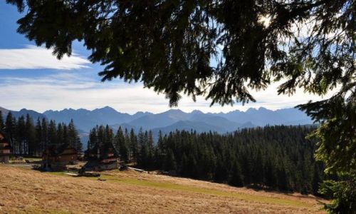 Zdjecie POLSKA / Podhale / wie Brzegi / Panorama Tatr z Godwki