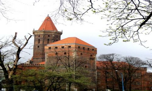 Zdjcie POLSKA / Dolny lask / Legnica / zamek piastowski