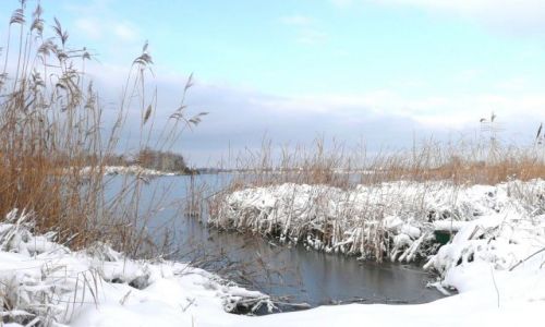 Zdjęcie POLSKA / Dolny Śląsk / Kunice / Jezioro zamarza