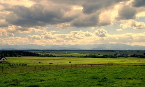 Zdjecie POLSKA / Nowy Targ / Droga 959 / Widok na Tatry