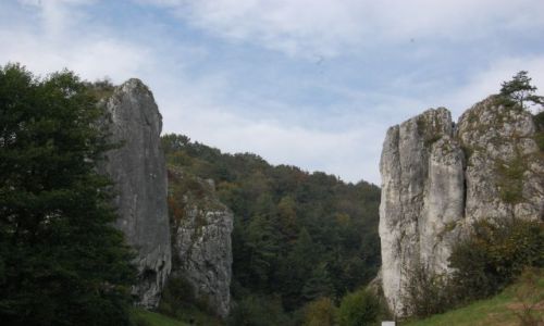 Zdjecie POLSKA / Maopolska / Bolechowice / Brama Bolechowicka