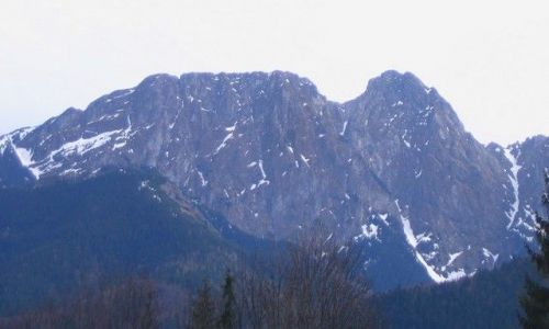 Zdjecie POLSKA /  maopolskie / Zakopane / picy Rycerz