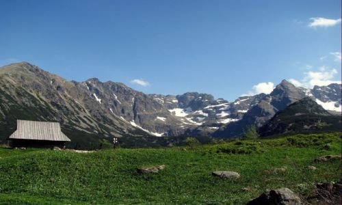 Zdjecie POLSKA / TATRY / DOLINA GSIENNICOWA / TO NIE ALPEJSKA DOLINKA TO POLSKA :)