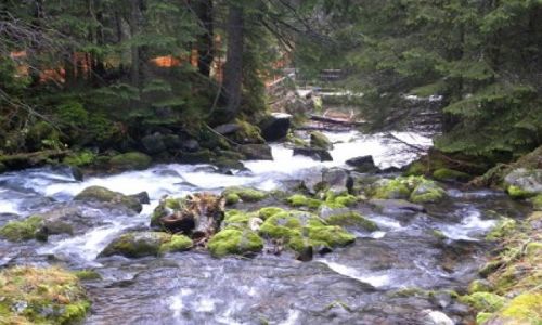 Zdjecie POLSKA / - / droga na kasprowy / tatry 2010