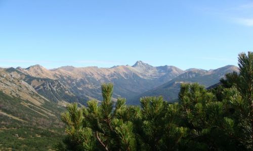 Zdjecie POLSKA / TATRY / Z PRZECZY TOMANOWEJ / TATERKI Z TOMANOWEJ