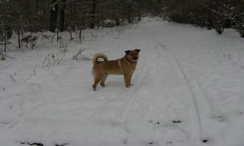 Zdjecie POLSKA / Jelenia Gra / Jelenia Gra / Nareszcie wolny