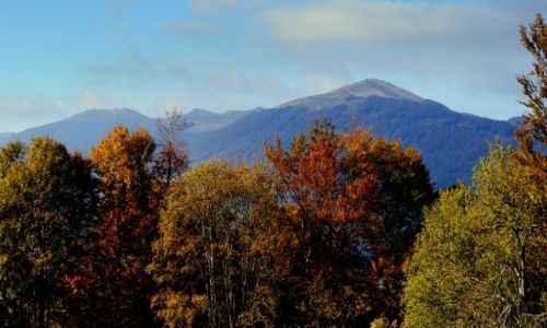 Zdjecie POLSKA / Podkarpackie, Bieszczady / Przecz Wyniaska / Poonina Wetliska i Smerek