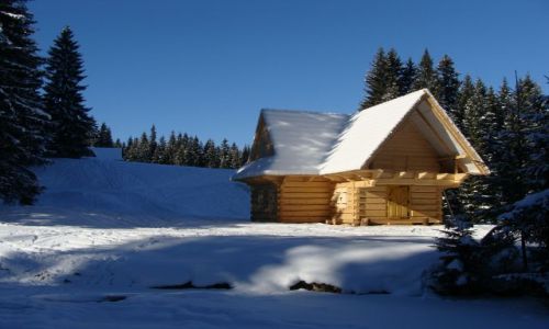 Zdjecie POLSKA / Tatry / Droga Pod Reglami / Spacerujc..