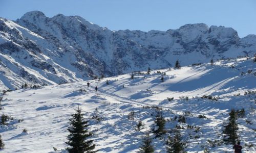 Zdjecie POLSKA / Tatry / idc do Murowaca / Sonecznie