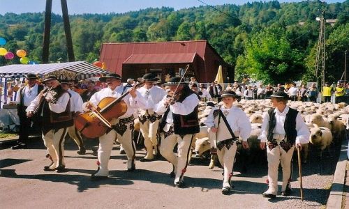 Zdjecie POLSKA / Maopolska / Zawoja / redyk