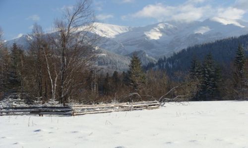 Zdjecie POLSKA / Tatry / Za Dol. Kocielisk / w kierunku Dol.Lejowej