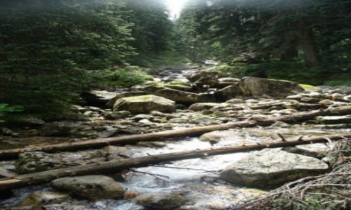 Zdjecie POLSKA / Tatry / Tatry / Szlak na Gsi Szyj