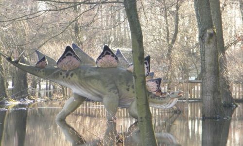 Zdjęcie POLSKA / Kujawsko-Pomorskie / Rogowo / Rogowo k. Biskupina