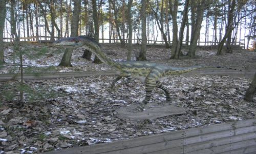 Zdjęcie POLSKA / Kujawsko-Pomorskie / Rogowo / Rogowo k. Biskupina