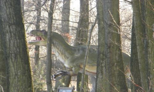 Zdjęcie POLSKA / Kujawsko-Pomorskie / Rogowo / Rogowo k. Biskupina