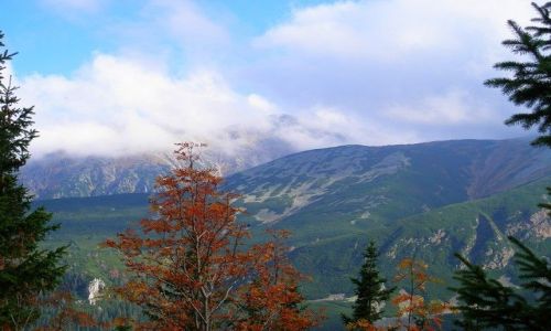 Zdjęcie POLSKA / Karpaty / Tatry / jesień w Tatrach