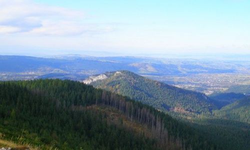 Zdjęcie POLSKA / Karpaty / Tatry / jesień w Tatrach