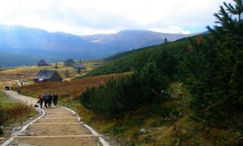 Zdjecie POLSKA / Karpaty / Tatry / jesie w Tatrach