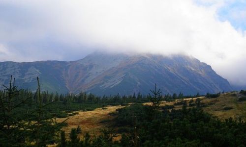 Zdjęcie POLSKA / Karpaty / Tatry / jesień w Tatrach