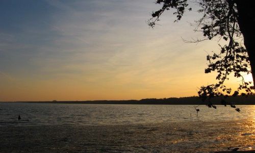 Zdjęcie POLSKA / Zachodniopomorskie / Morzyczyn - jezioro Miedwie / pierwszy dzień wiosny