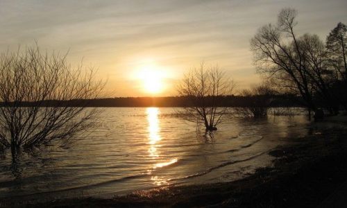 Zdjęcie POLSKA / Zachodniopomorskie / Morzyczyn - jezioro Miedwie / pierwszy dzień wiosny