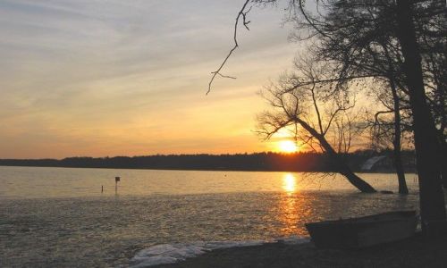 Zdjęcie POLSKA / Zachodniopomorskie / Morzyczyn - jezioro Miedwie / pierwszy dzień wiosny