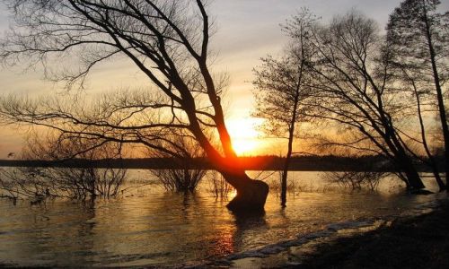 Zdjęcie POLSKA / Zachodniopomorskie / Morzyczyn - jezioro Miedwie / pierwszy dzień wiosny