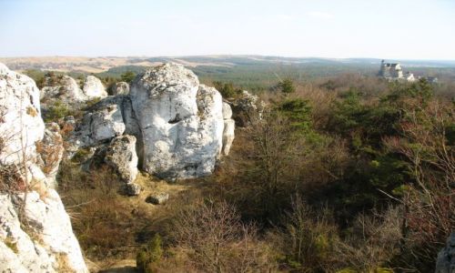 Zdjecie POLSKA / Jura / na szlaku Bobolice-Mirw / przedwionie na Jurze