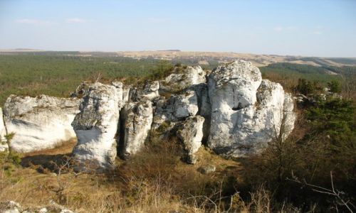 Zdjecie POLSKA / Jura / Szlak Orlich Gniazd / ostace