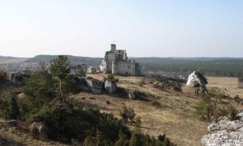 Zdjecie POLSKA / Jura / widok na ruiny zamku Mirw / Szlak Orlich Gniazd