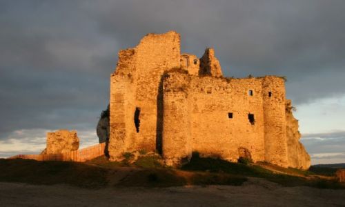 Zdjecie POLSKA / Jura Krakowsko-Czstochowska / Mirw / Zamek Mirw