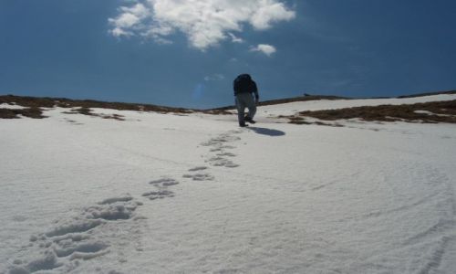 Zdjecie POLSKA / Okolice Giewontu / Tatry / Marsz po Tatrach