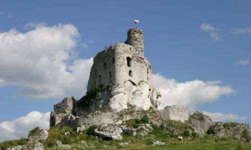 Zdjecie POLSKA / Jura Krakowsko-Czstochowska / Mirw / Zamek Mirw