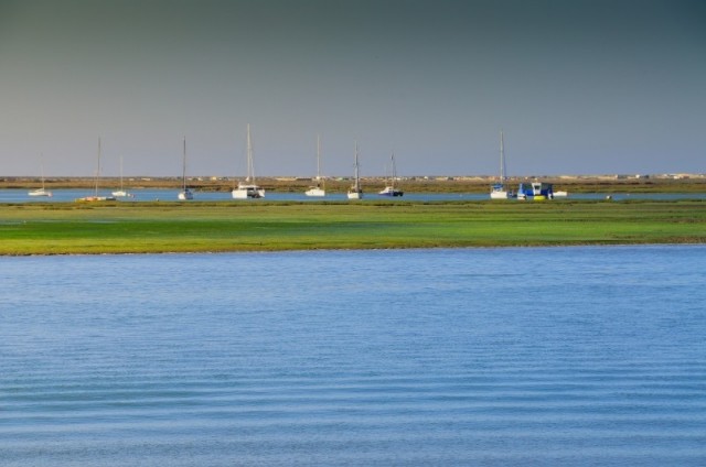 Zdj cia: Okolice Faro, Algarve, Park Naturalny Ria Formosa, PORTUGALIA