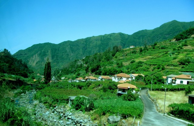 Zdj cia: okolice Sao Vicente, Madera, ziele Madery, PORTUGALIA