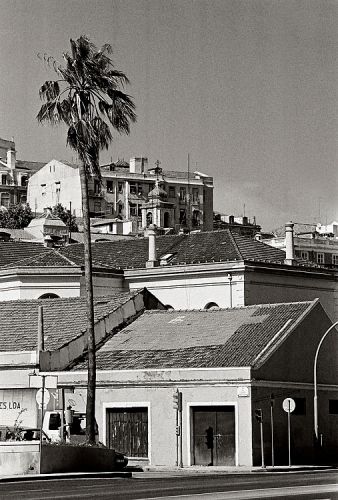 Zdjęcia: Alfama, Lizbona, wiosenny wietrzyk, PORTUGALIA Zdjęcia: Alfama, Lizbona, wiosenny wietrzyk, PORTUGALIA