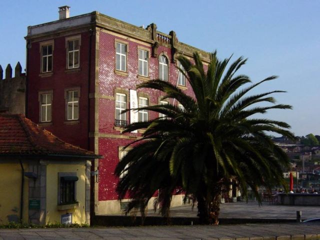 Zdjęcia: Porto, Mozaikowy budynek z palmą :), PORTUGALIA Zdjęcia: Porto, Mozaikowy budynek z palmą :), PORTUGALIA
