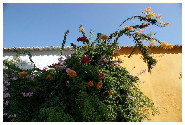 Zdjęcia: zabudowa wiejska, Algarve, Gra kolorów, PORTUGALIA Zdjęcia: zabudowa wiejska, Algarve, Gra kolorów, PORTUGALIA